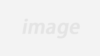 157 роликов САЙТРИП по 28 11 2012 157 babes gg brett dani 6000